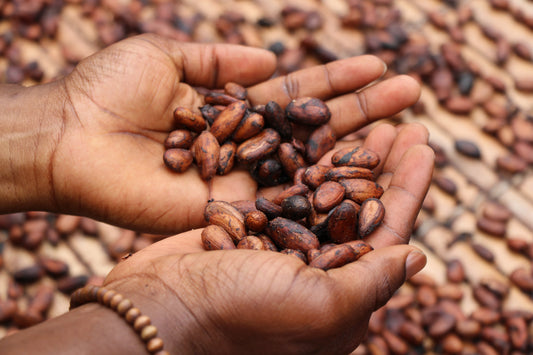 Fair Trade Chocolate: Making Ethical Choices for a Sweeter World
